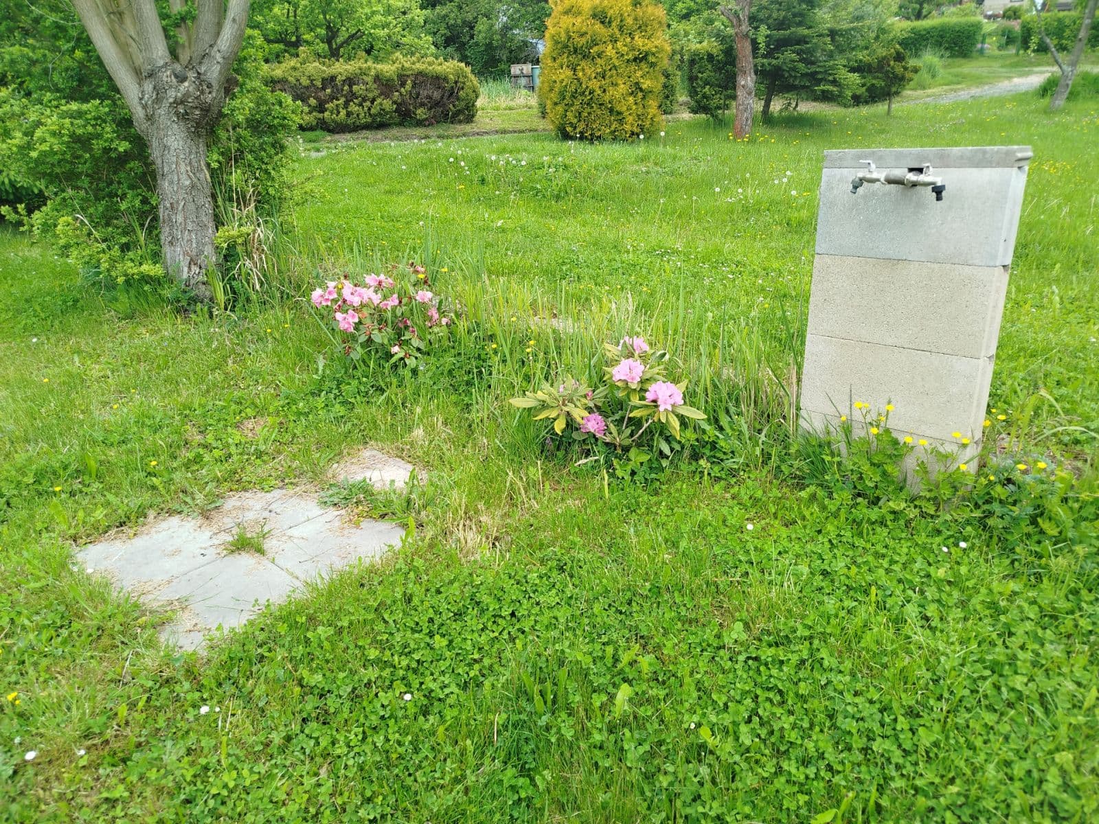 Prodej chaty, chalupy 25 m², pozemek 400 m², Děčín, Ústecký kraj Prodej chaty, chalupy 25 m², pozemek 400 m², Děčín, Ústecký kraj