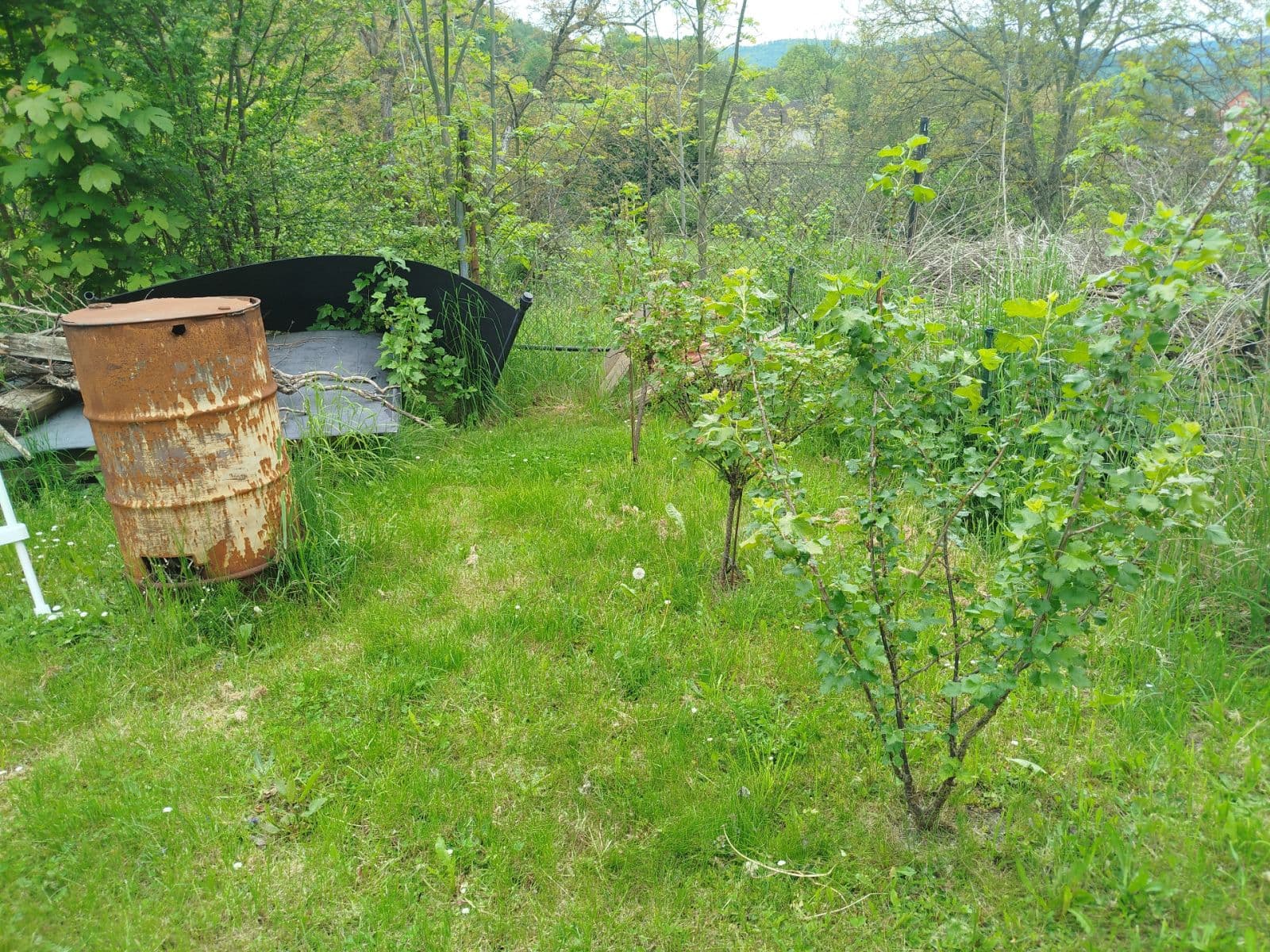 Prodej chaty, chalupy 25 m², pozemek 400 m², Děčín, Ústecký kraj Prodej chaty, chalupy 25 m², pozemek 400 m², Děčín, Ústecký kraj