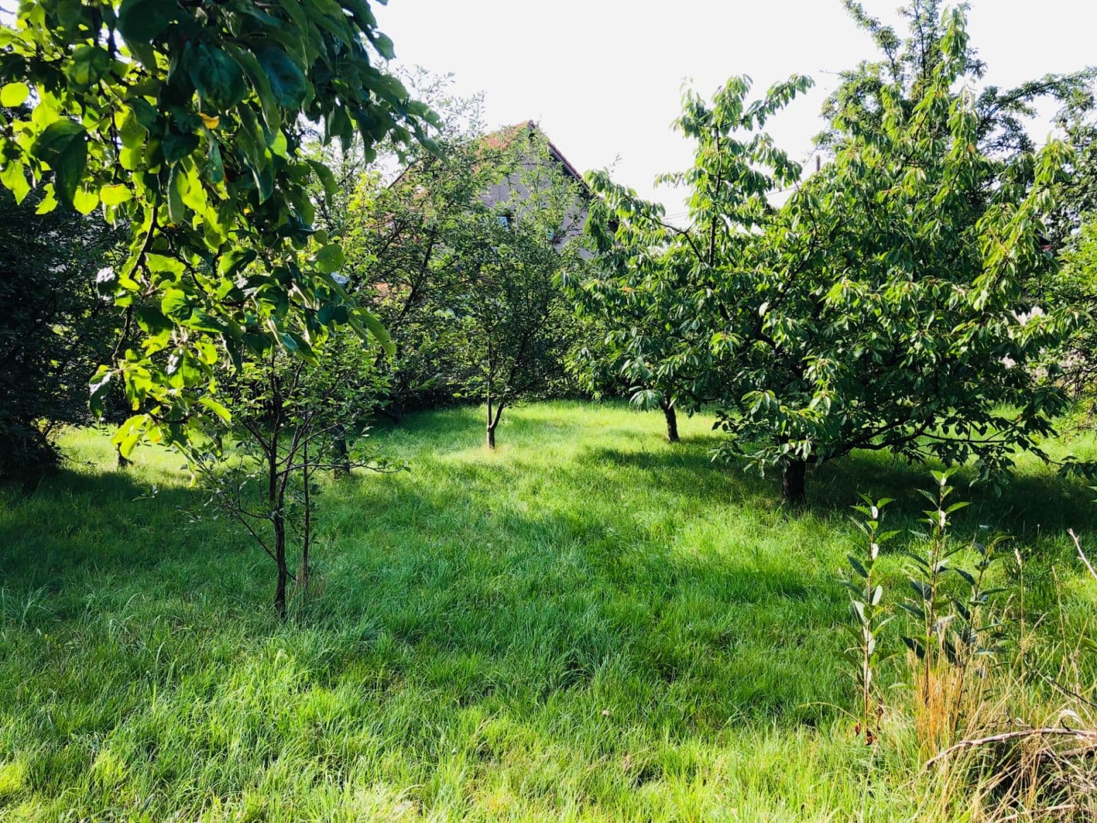 Prodej domu 173 m², pozemek 1.000 m², Telnice, Ústecký kraj Prodej domu 173 m², pozemek 1.000 m², Telnice, Ústecký kraj