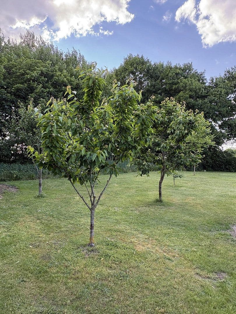 Prodej domu 160 m², pozemek 1.996 m², Ueckermünde, Mecklenburg-Vorpommern Prodej domu 160 m², pozemek 1.996 m², Ueckermünde, Mecklenburg-Vorpommern
