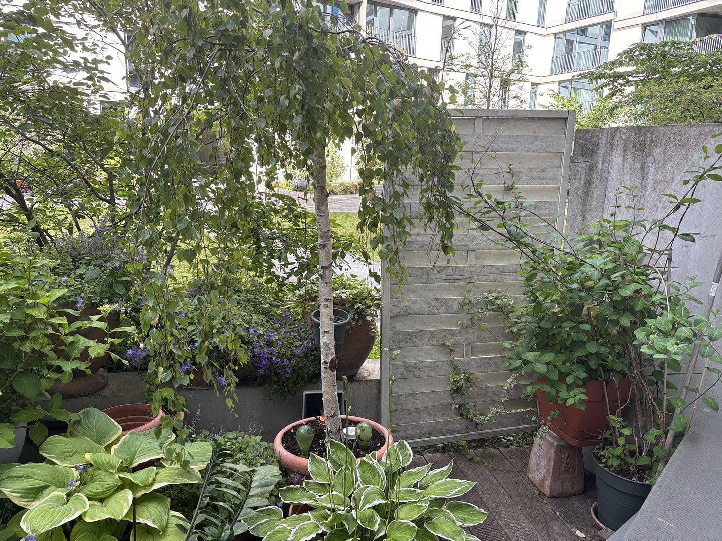 Pronájem bytu 2+1 96 m², Pettenkoferstr. 14, Berlin, Berlín Pronájem bytu 2+1 96 m², Pettenkoferstr. 14, Berlin, Berlín
