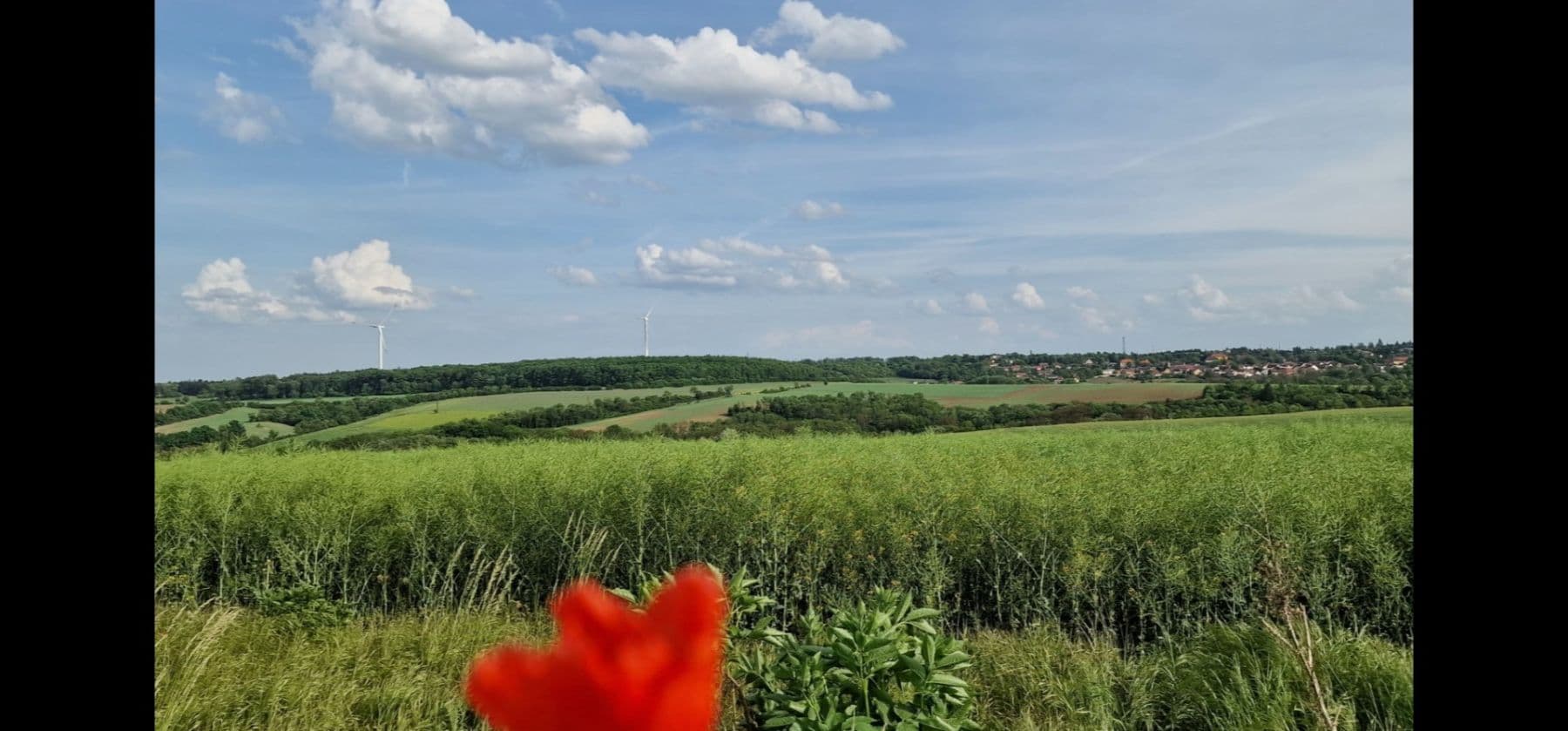 Prodej domu 50 m², pozemek 290 m², V Kolonii, Svinařov, Středočeský kraj Prodej domu 50 m², pozemek 290 m², V Kolonii, Svinařov, Středočeský kraj