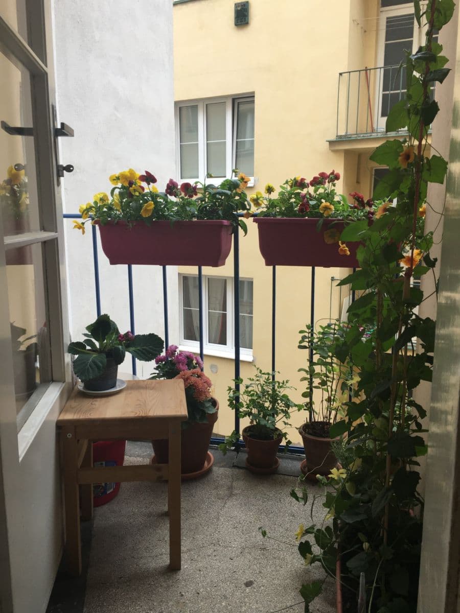 Pronájem bytu 1+1 42 m², Jugoslávských partyzánů, Praha, Praha Pronájem bytu 1+1 42 m², Jugoslávských partyzánů, Praha, Praha