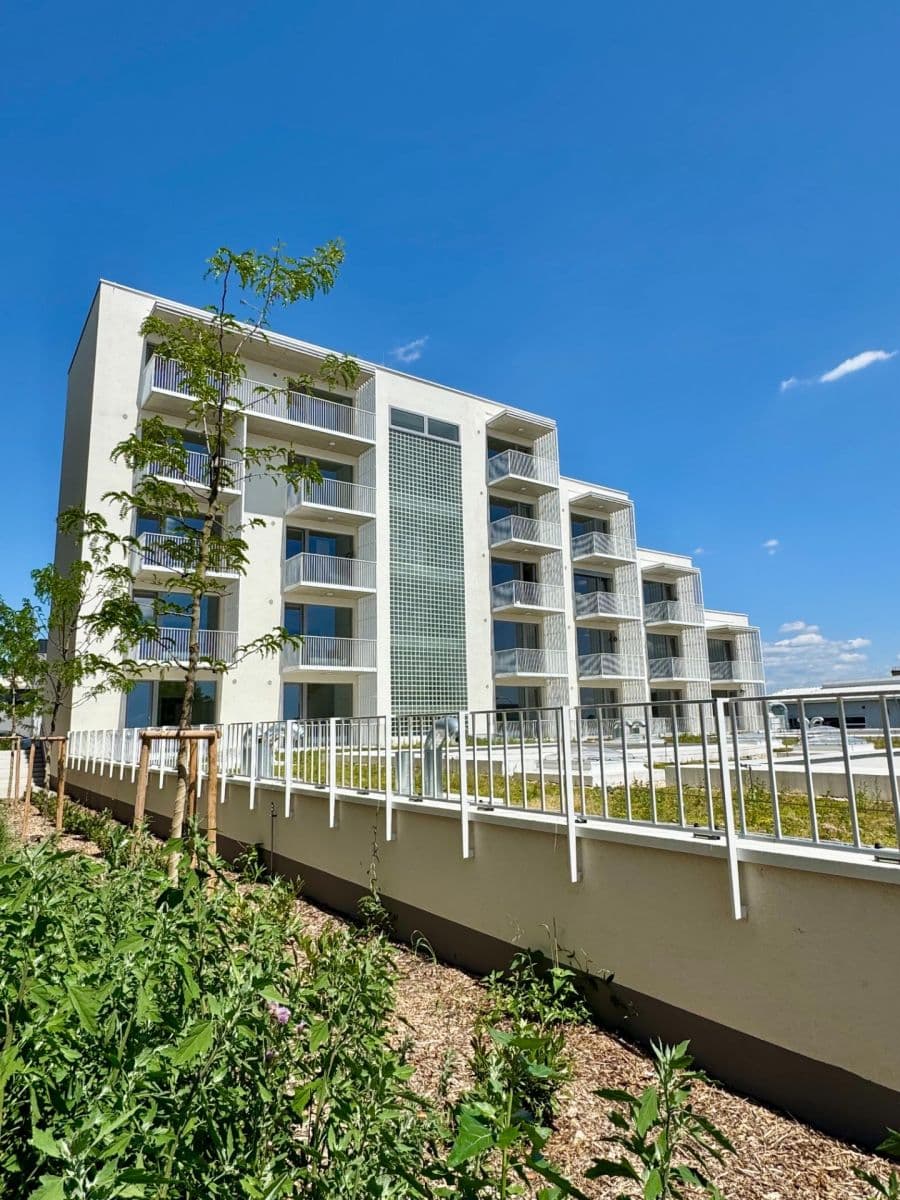 Pronájem bytu 1+kk 32 m², Řepova, Brno, Jihomoravský kraj Pronájem bytu 1+kk 32 m², Řepova, Brno, Jihomoravský kraj