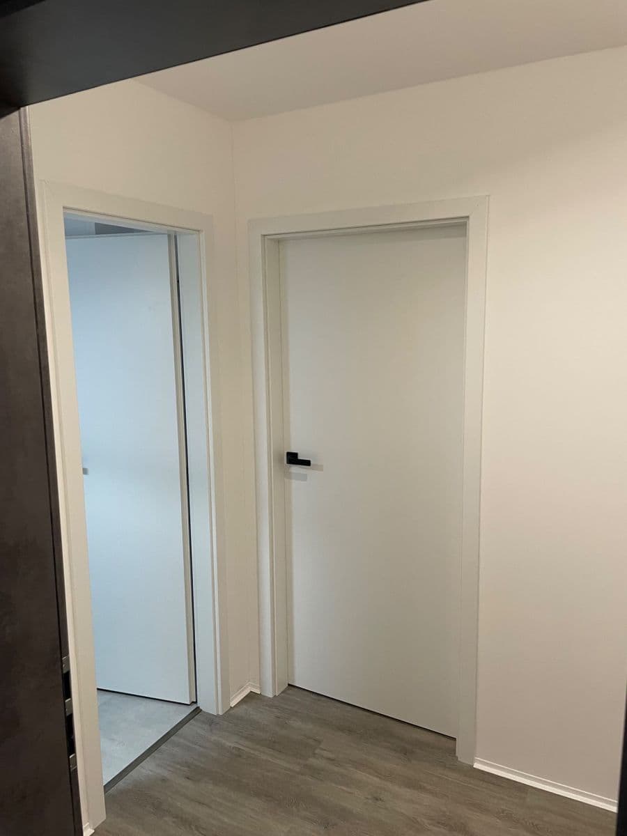 Pronájem bytu 1+kk 42 m², Štefánikova, Brno, Jihomoravský kraj Pronájem bytu 1+kk 42 m², Štefánikova, Brno, Jihomoravský kraj