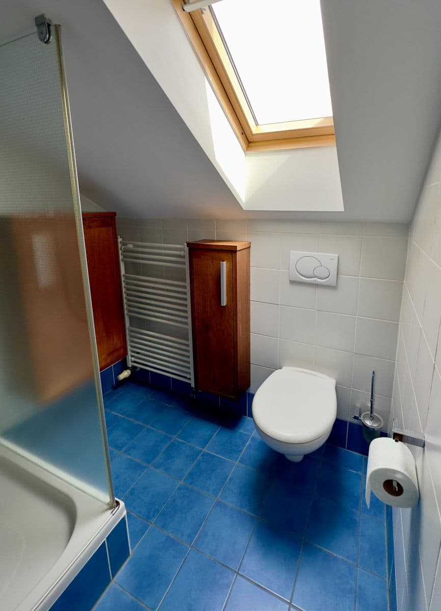 Pronájem bytu 4+kk 132 m², Velflíkova, Praha, Praha Pronájem bytu 4+kk 132 m², Velflíkova, Praha, Praha