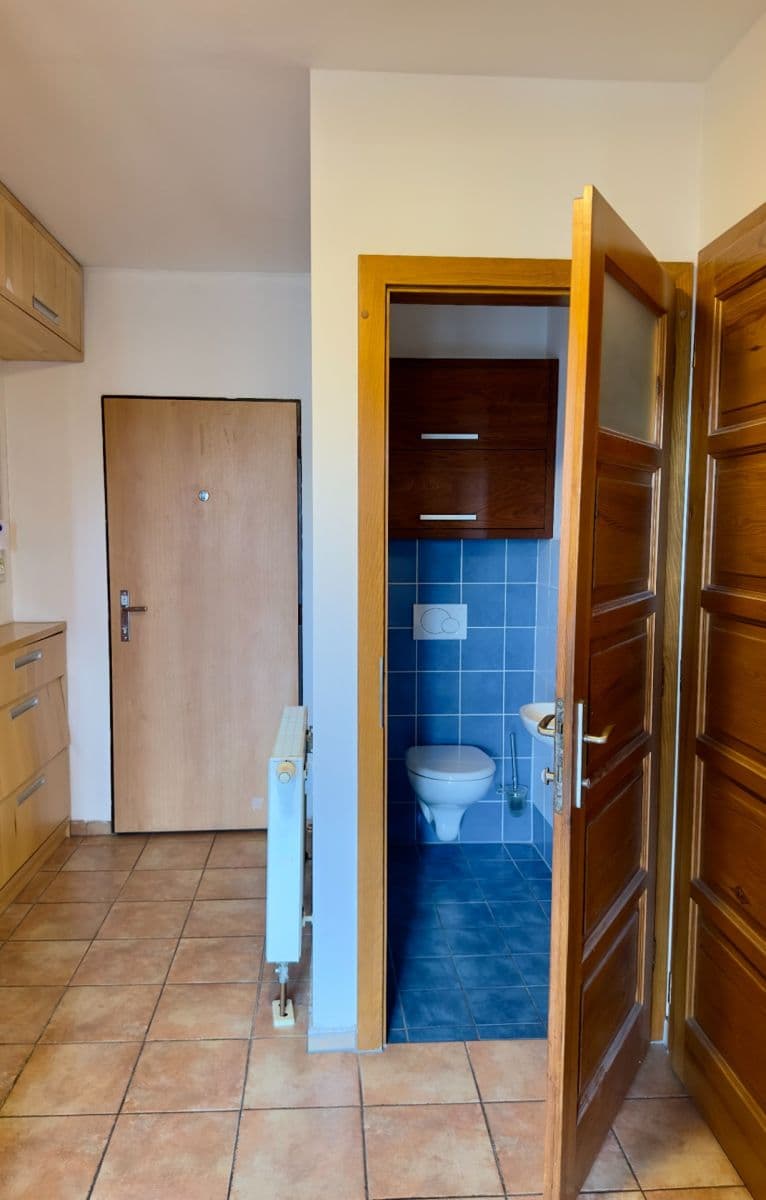 Pronájem bytu 4+kk 132 m², Velflíkova, Praha, Praha Pronájem bytu 4+kk 132 m², Velflíkova, Praha, Praha