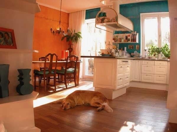 Prodej domu 357 m², pozemek 821 m², Brechen, Hessen Prodej domu 357 m², pozemek 821 m², Brechen, Hessen