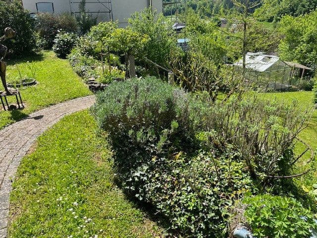 Prodej domu 177 m², pozemek 1.142 m², Rebetsmatt 30, Rheinfelden (Baden), Bádensko-Württembersko Prodej domu 177 m², pozemek 1.142 m², Rebetsmatt 30, Rheinfelden (Baden), Bádensko-Württembersko