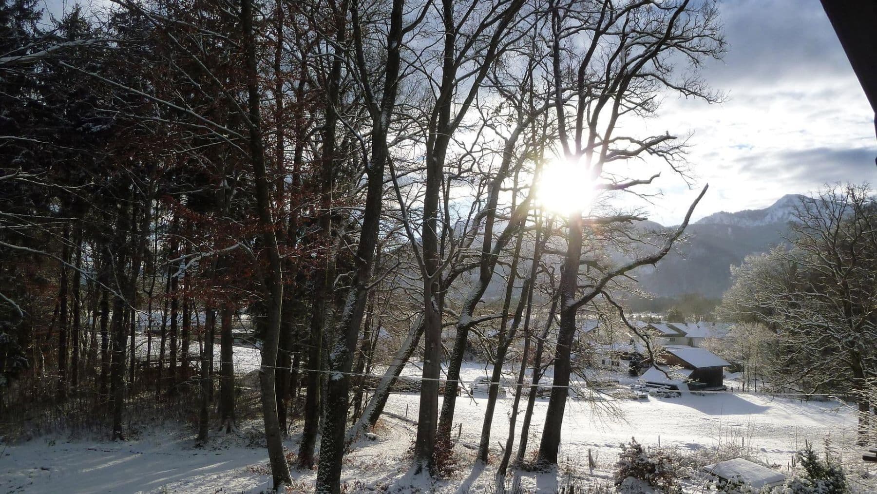 Prodej domu 105 m², pozemek 1.135 m², Übersee, Bavorsko Prodej domu 105 m², pozemek 1.135 m², Übersee, Bavorsko
