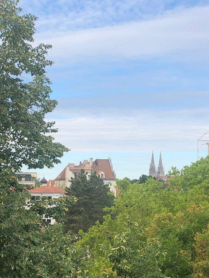 Pronájem bytu 1+1 38 m², Regensburg, Bavorsko Pronájem bytu 1+1 38 m², Regensburg, Bavorsko
