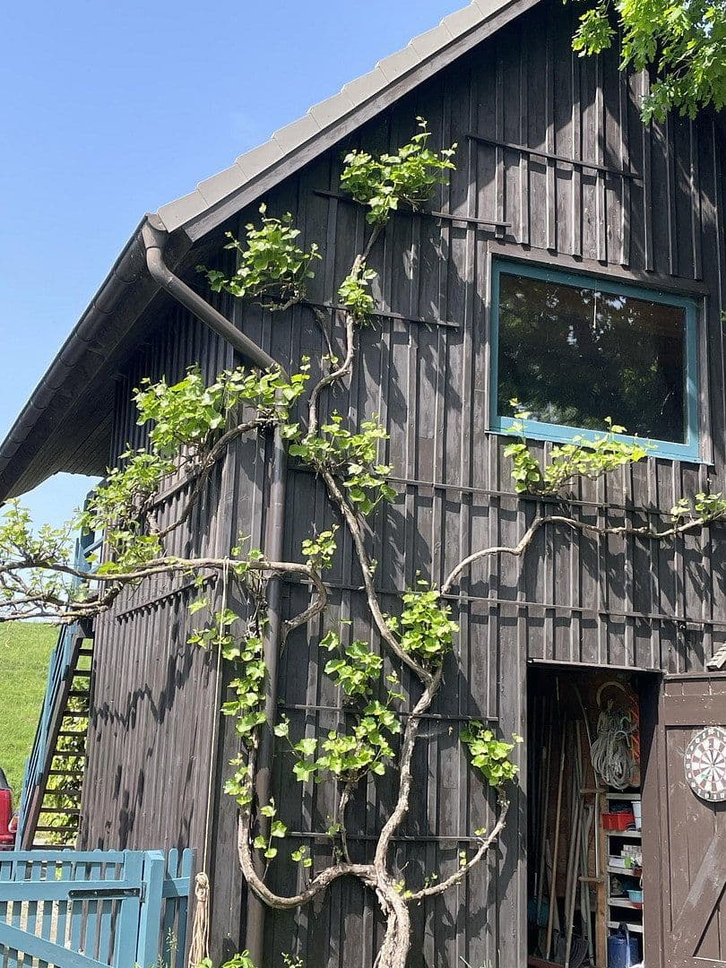 Prodej domu 188 m², pozemek 6.000 m², Bahrenfleth, Šlesvicko-Holštýnsko Prodej domu 188 m², pozemek 6.000 m², Bahrenfleth, Šlesvicko-Holštýnsko