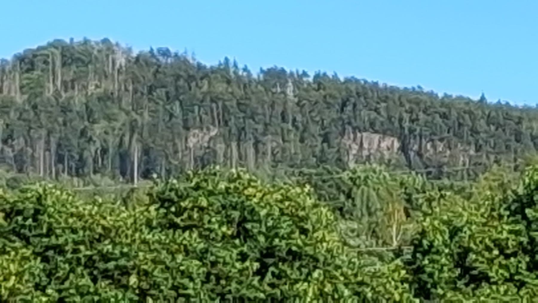 Pronájem chaty, chalupy 70 m², pozemek 300 m², V Plaňkách, Rokycany, Plzeňský kraj Pronájem chaty, chalupy 70 m², pozemek 300 m², V Plaňkách, Rokycany, Plzeňský kraj
