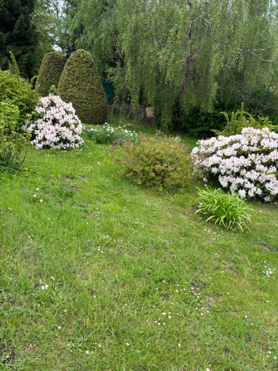 Prodej domu 150 m², pozemek 213 m², Opavská, Rýmařov, Moravskoslezský kraj Prodej domu 150 m², pozemek 213 m², Opavská, Rýmařov, Moravskoslezský kraj