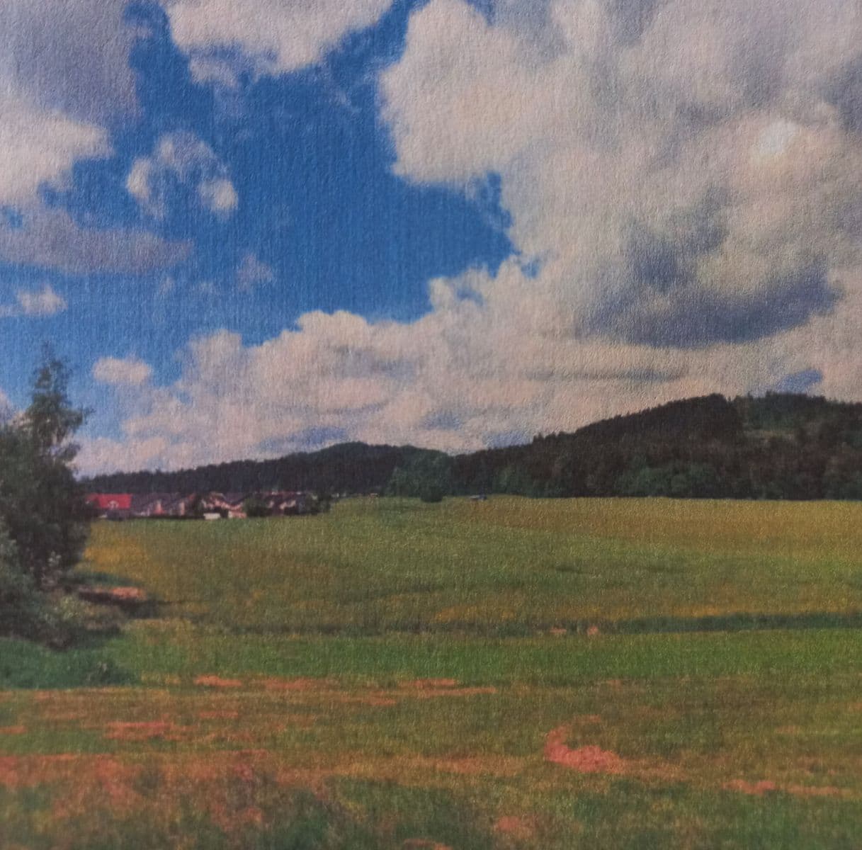 Prodej pozemku 3.000 m², Dolní Třebonín, Jihočeský kraj Prodej pozemku 3.000 m², Dolní Třebonín, Jihočeský kraj
