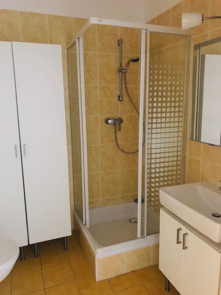 Pronájem bytu 1+kk 44 m², Třeboňská, Praha, Praha Pronájem bytu 1+kk 44 m², Třeboňská, Praha, Praha
