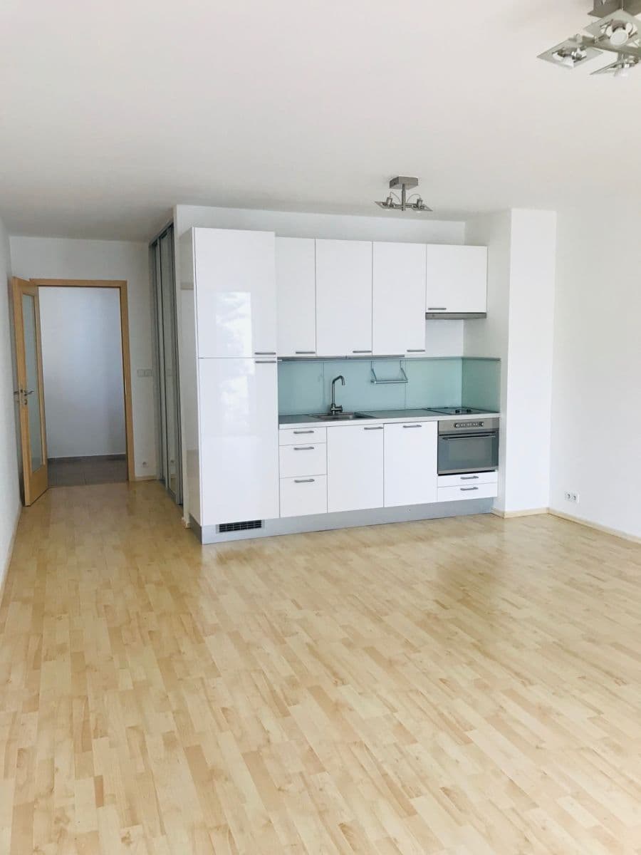 Pronájem bytu 1+kk 44 m², Třeboňská, Praha, Praha Pronájem bytu 1+kk 44 m², Třeboňská, Praha, Praha