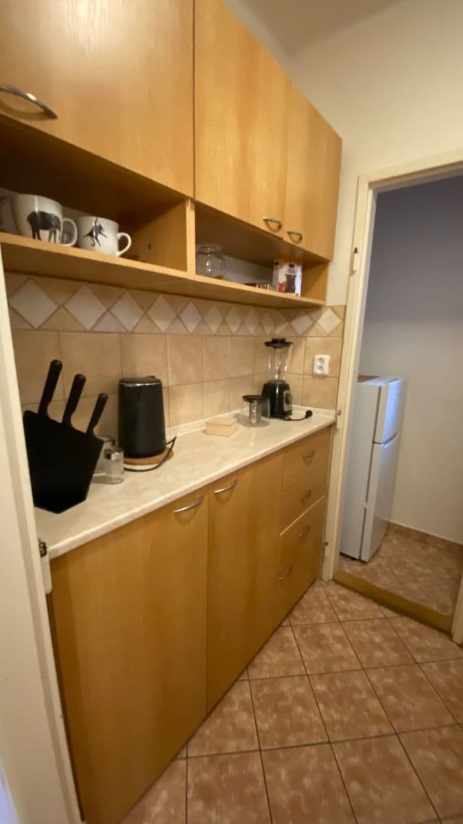 Pronájem bytu 2+1 45 m², Dlouhá, Praha, Praha Pronájem bytu 2+1 45 m², Dlouhá, Praha, Praha