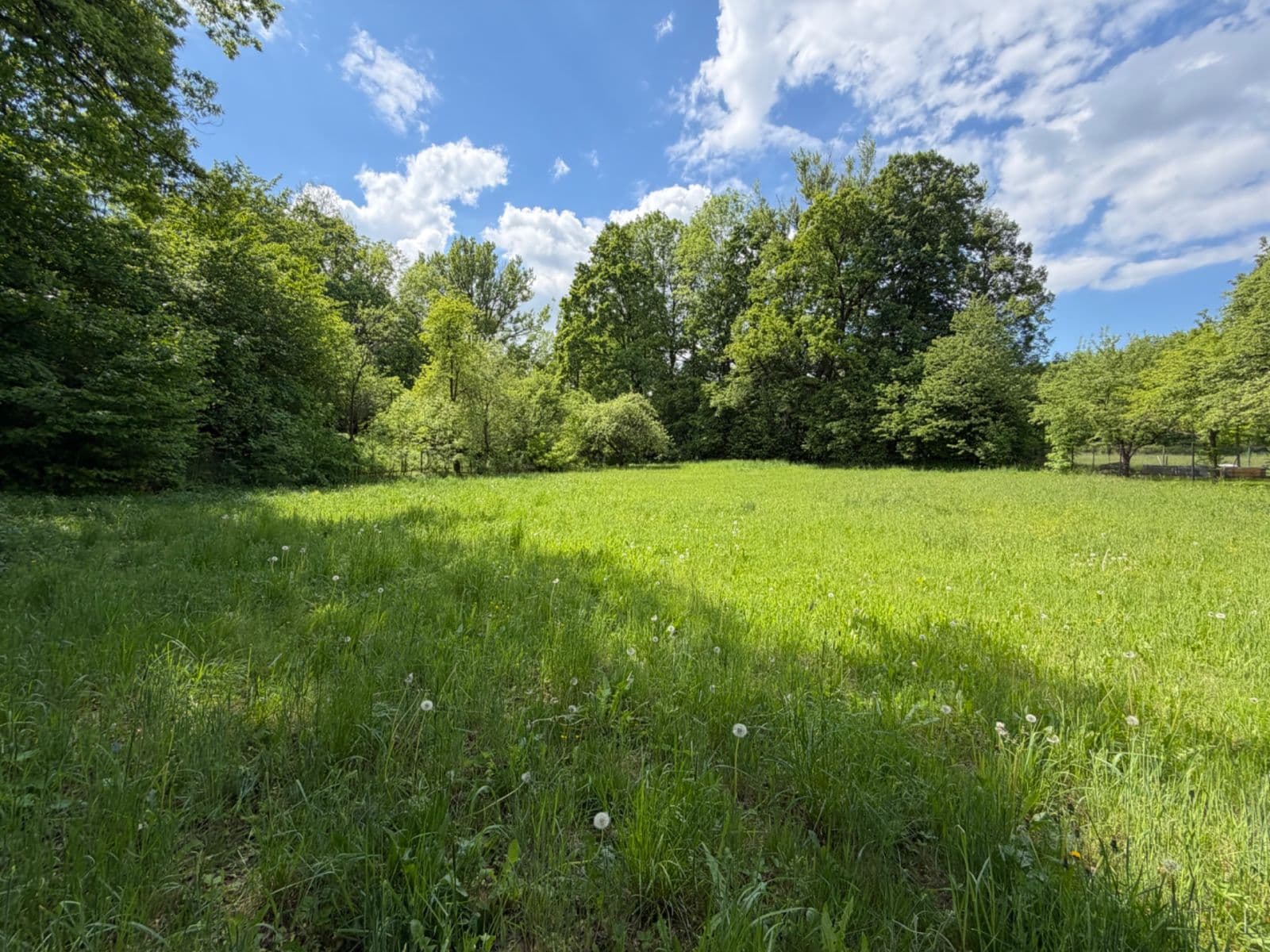 Prodej domu 106 m², pozemek 3.623 m², Petřvald, Moravskoslezský kraj Prodej domu 106 m², pozemek 3.623 m², Petřvald, Moravskoslezský kraj
