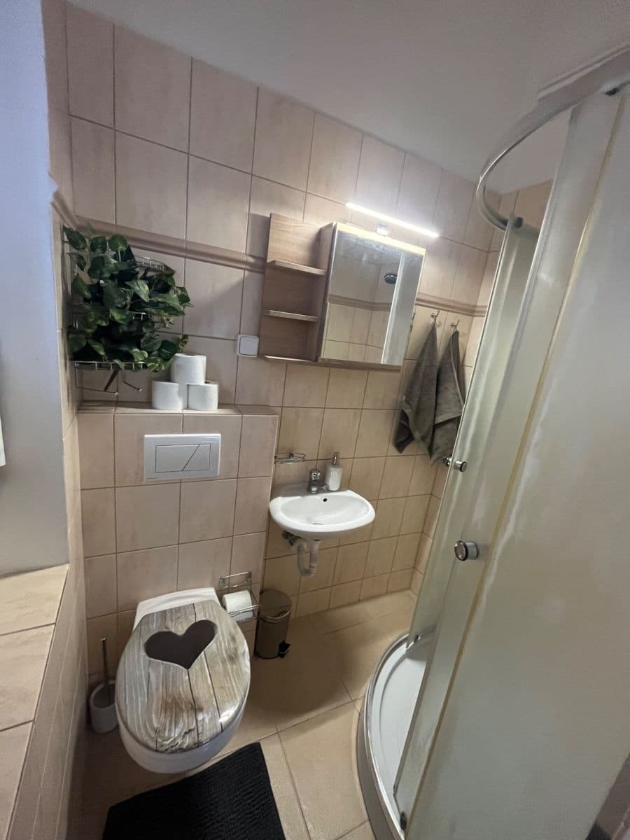 Pronájem bytu 3+1 63 m², Rotalova, Brno, Jihomoravský kraj Pronájem bytu 3+1 63 m², Rotalova, Brno, Jihomoravský kraj