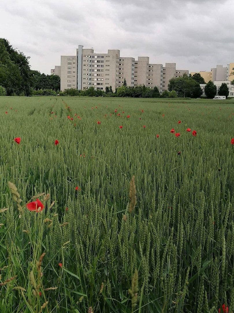Prodej bytu 3+kk 95 m², Stuttgart - Möhringen, Bádensko-Württembersko Prodej bytu 3+kk 95 m², Stuttgart - Möhringen, Bádensko-Württembersko