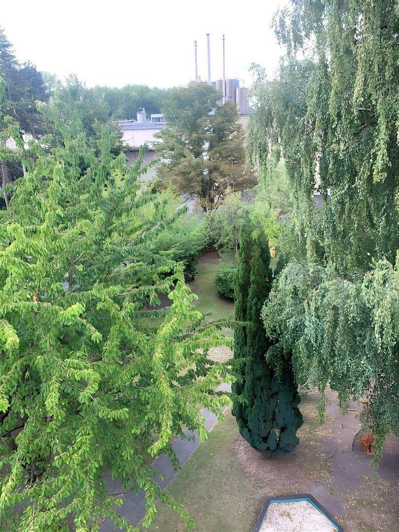 Pronájem bytu 4+1 80 m², Walddörferstrasse 276, Hamburg, Hamburg Pronájem bytu 4+1 80 m², Walddörferstrasse 276, Hamburg, Hamburg