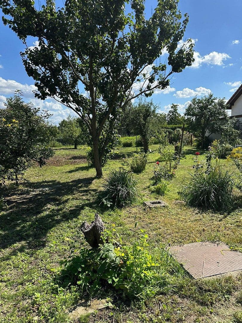 Prodej domu 110 m², pozemek 1.019 m², Wacholderheide 50, Berlin Mahlsdorf Nord, Berlín Prodej domu 110 m², pozemek 1.019 m², Wacholderheide 50, Berlin Mahlsdorf Nord, Berlín