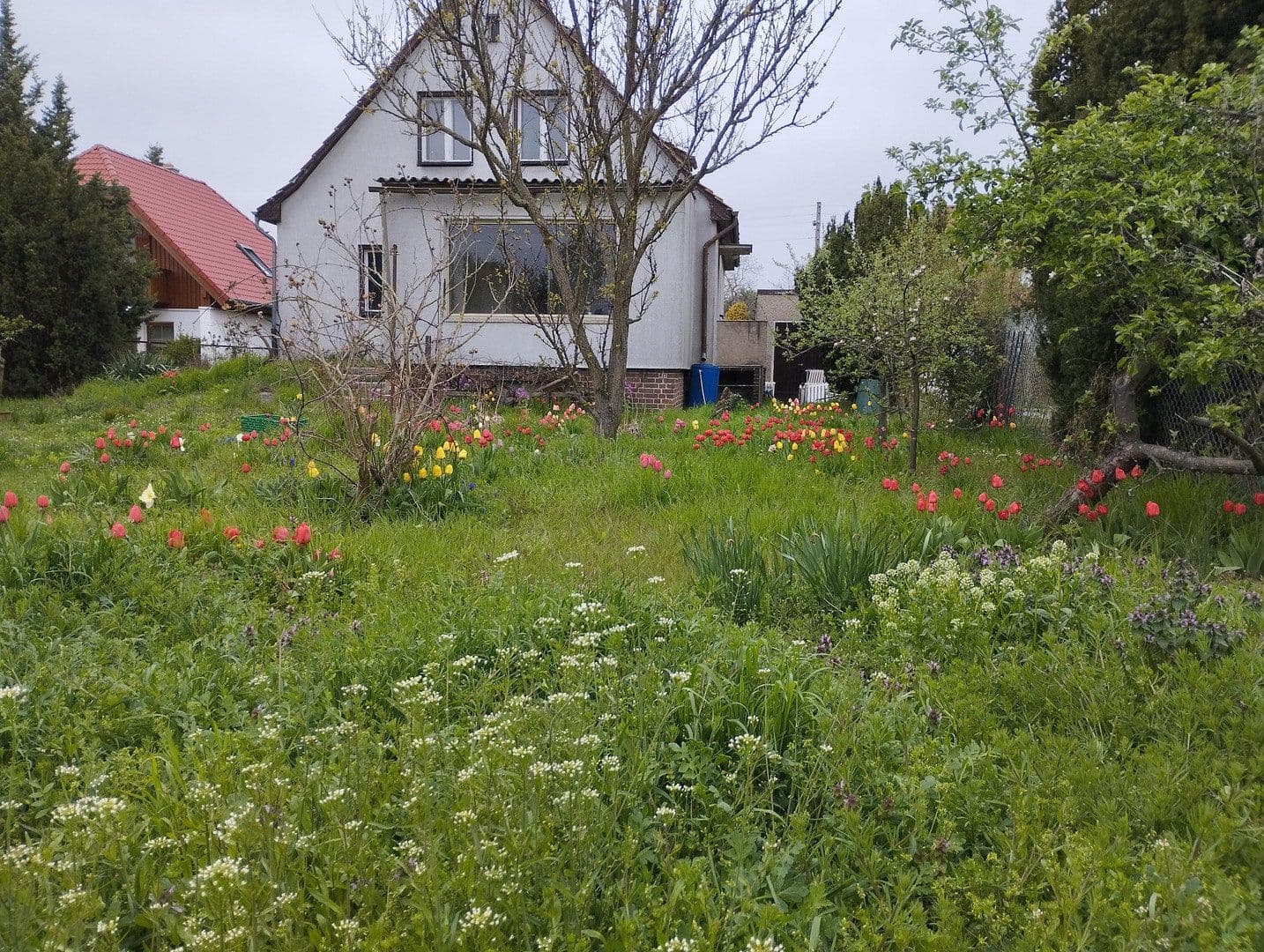 Prodej domu 110 m², pozemek 1.019 m², Wacholderheide 50, Berlin Mahlsdorf Nord, Berlín Prodej domu 110 m², pozemek 1.019 m², Wacholderheide 50, Berlin Mahlsdorf Nord, Berlín