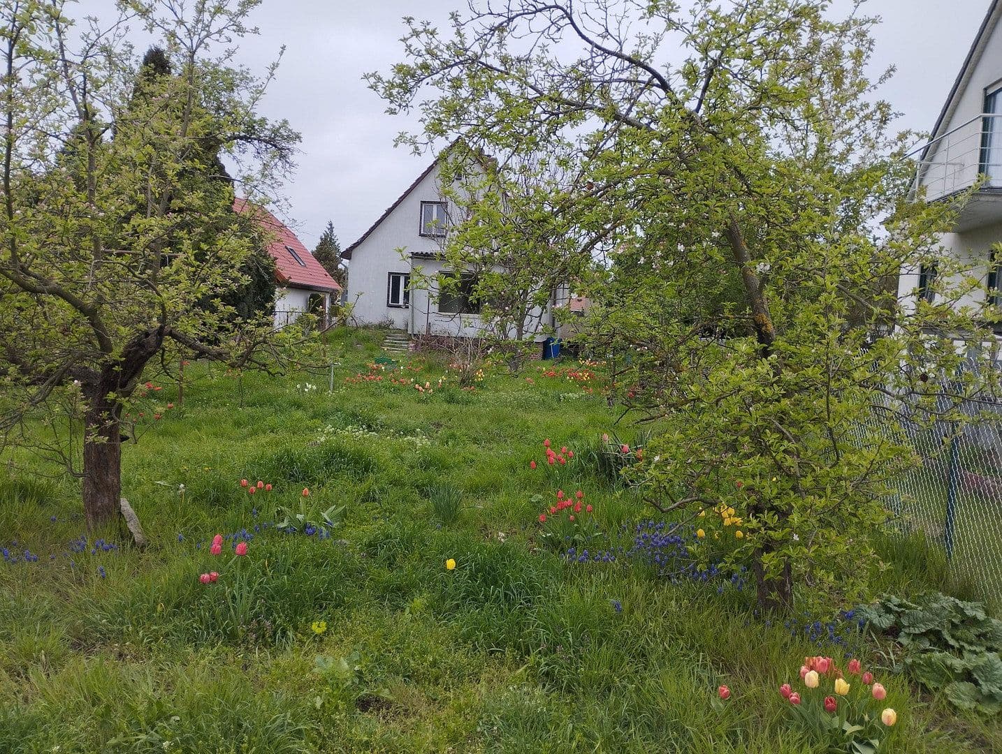 Prodej domu 110 m², pozemek 1.019 m², Wacholderheide 50, Berlin Mahlsdorf Nord, Berlín Prodej domu 110 m², pozemek 1.019 m², Wacholderheide 50, Berlin Mahlsdorf Nord, Berlín