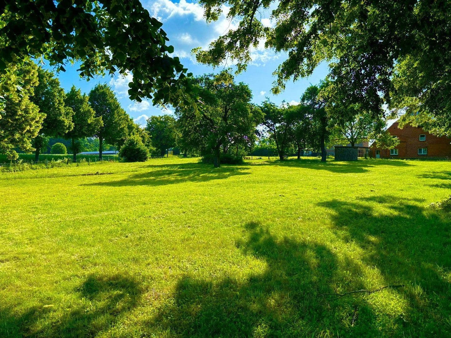 Prodej domu 130 m², pozemek 6.270 m², Göhren-Lebbin, Mecklenburg-Vorpommern Prodej domu 130 m², pozemek 6.270 m², Göhren-Lebbin, Mecklenburg-Vorpommern