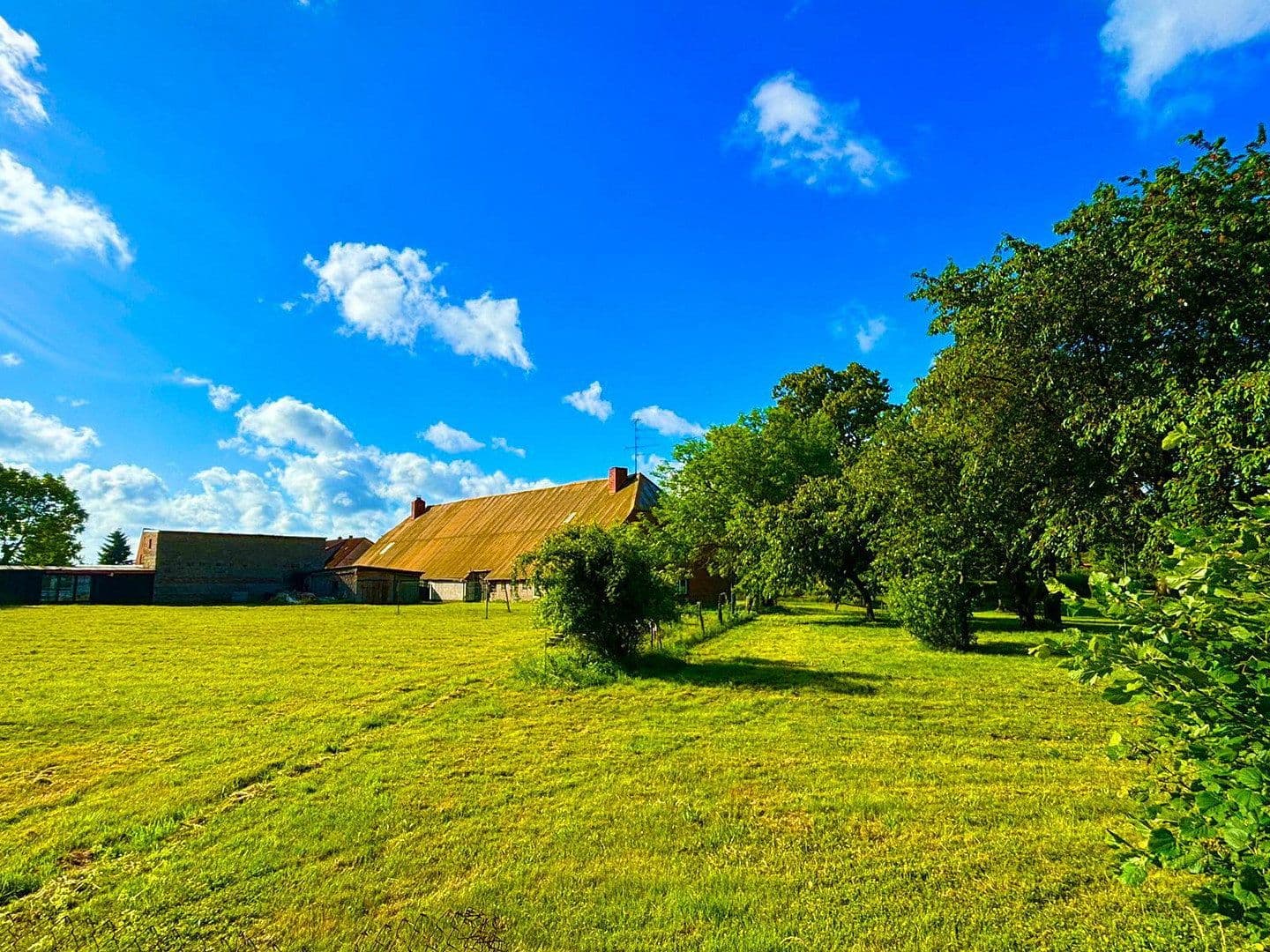 Prodej domu 130 m², pozemek 6.270 m², Göhren-Lebbin, Mecklenburg-Vorpommern Prodej domu 130 m², pozemek 6.270 m², Göhren-Lebbin, Mecklenburg-Vorpommern