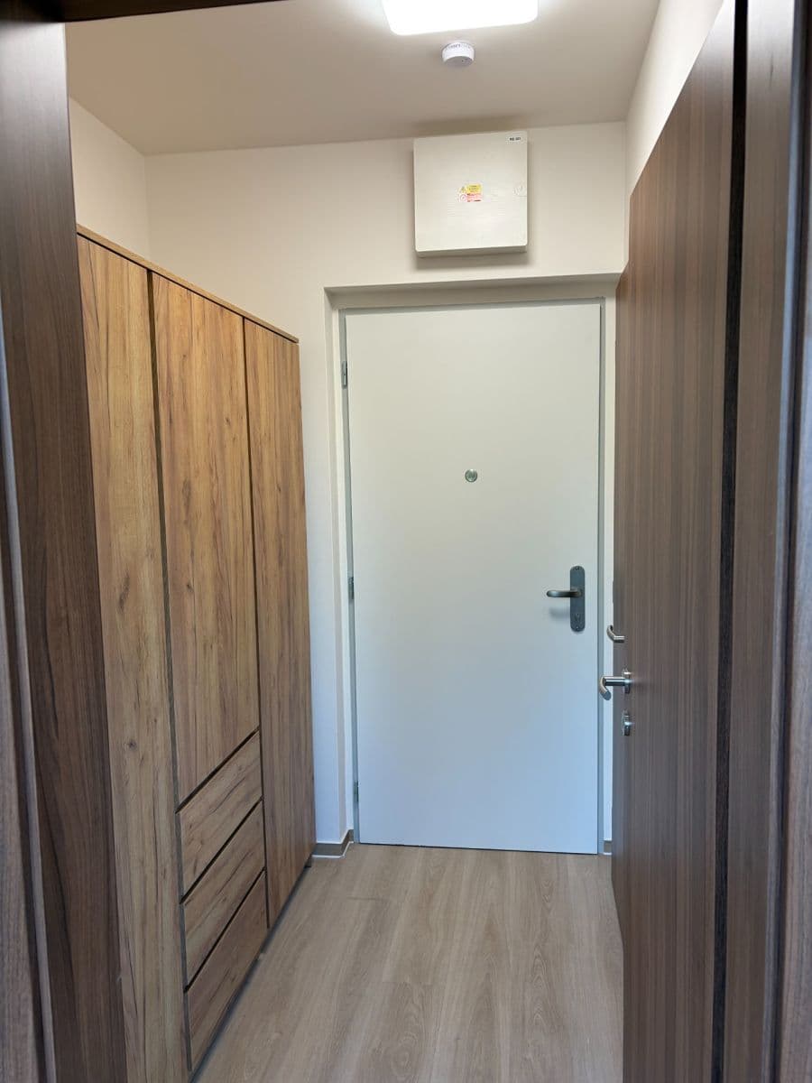 Pronájem bytu 1+kk 35 m², Sovinec, Brno, Jihomoravský kraj Pronájem bytu 1+kk 35 m², Sovinec, Brno, Jihomoravský kraj
