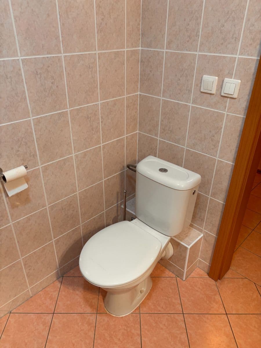 Pronájem bytu 1+kk 30 m², Boloňská, Praha, Praha Pronájem bytu 1+kk 30 m², Boloňská, Praha, Praha