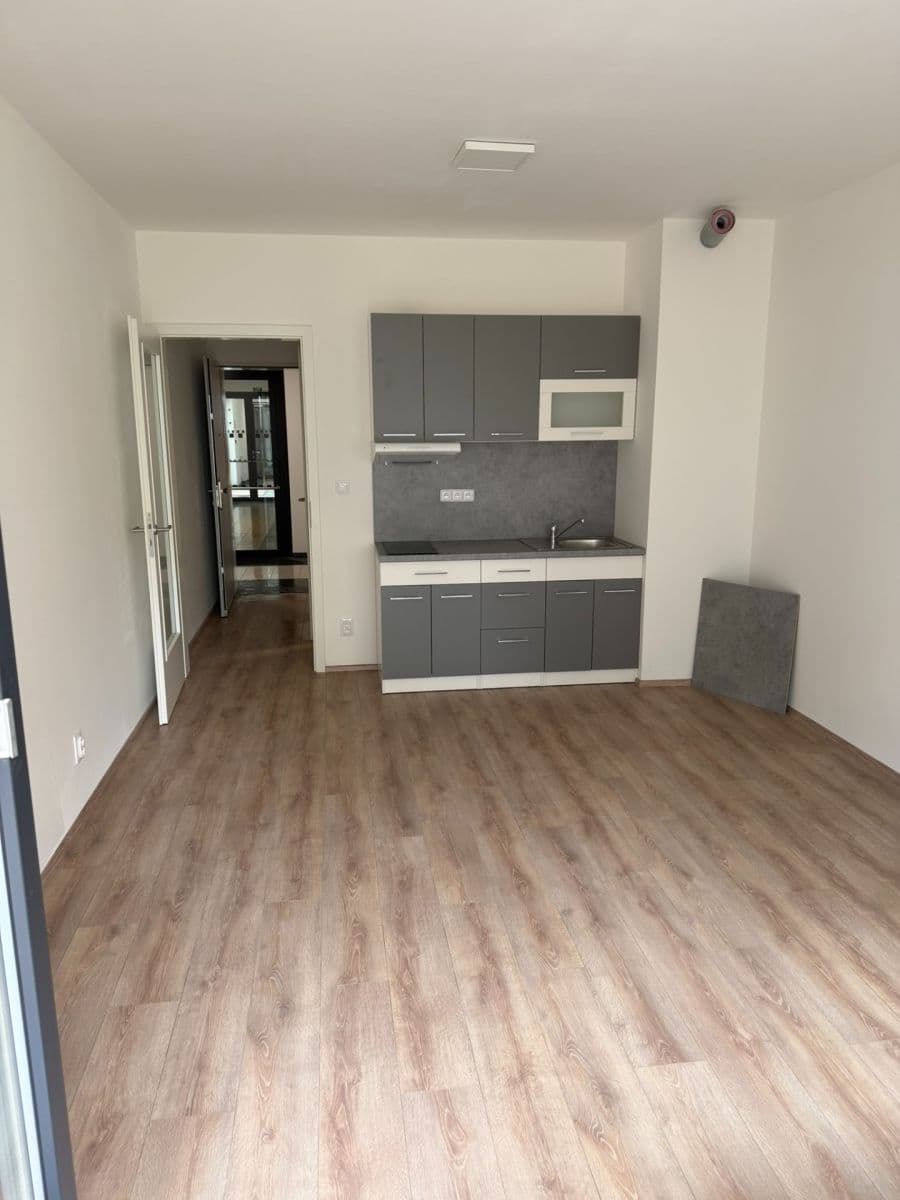 Pronájem bytu 1+kk 42 m², Spolková, Brno, Jihomoravský kraj Pronájem bytu 1+kk 42 m², Spolková, Brno, Jihomoravský kraj