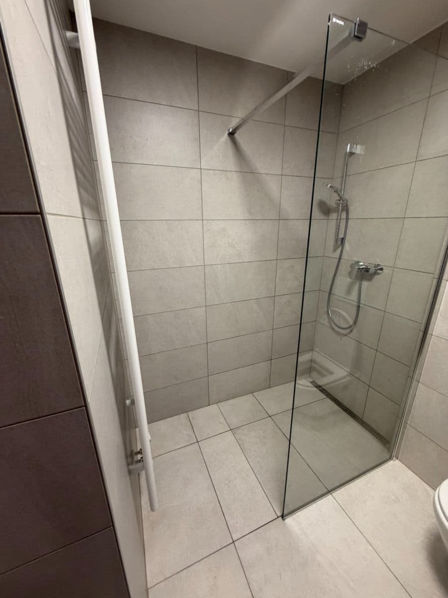 Pronájem bytu 1+kk 42 m², Spolková, Brno, Jihomoravský kraj Pronájem bytu 1+kk 42 m², Spolková, Brno, Jihomoravský kraj