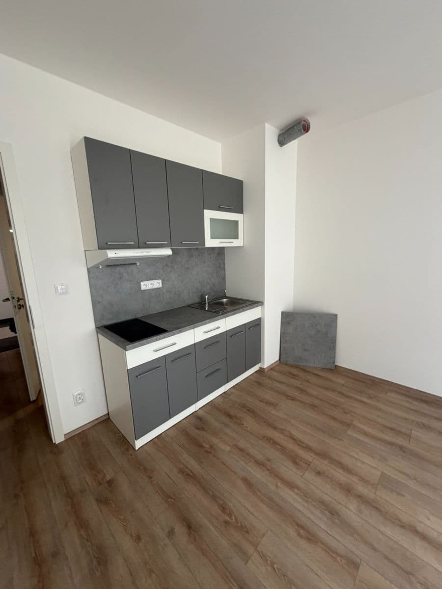 Pronájem bytu 1+kk 42 m², Spolková, Brno, Jihomoravský kraj Pronájem bytu 1+kk 42 m², Spolková, Brno, Jihomoravský kraj
