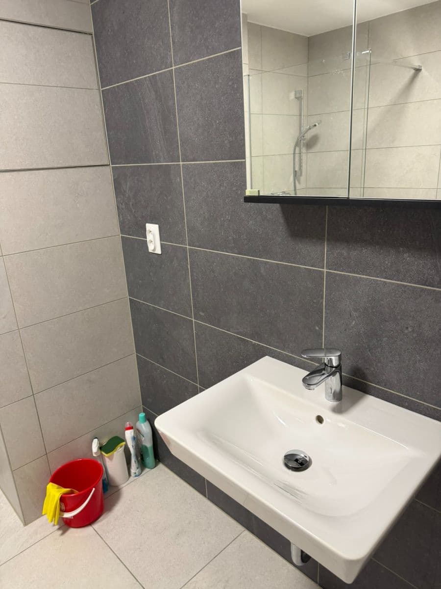 Pronájem bytu 1+kk 42 m², Spolková, Brno, Jihomoravský kraj Pronájem bytu 1+kk 42 m², Spolková, Brno, Jihomoravský kraj