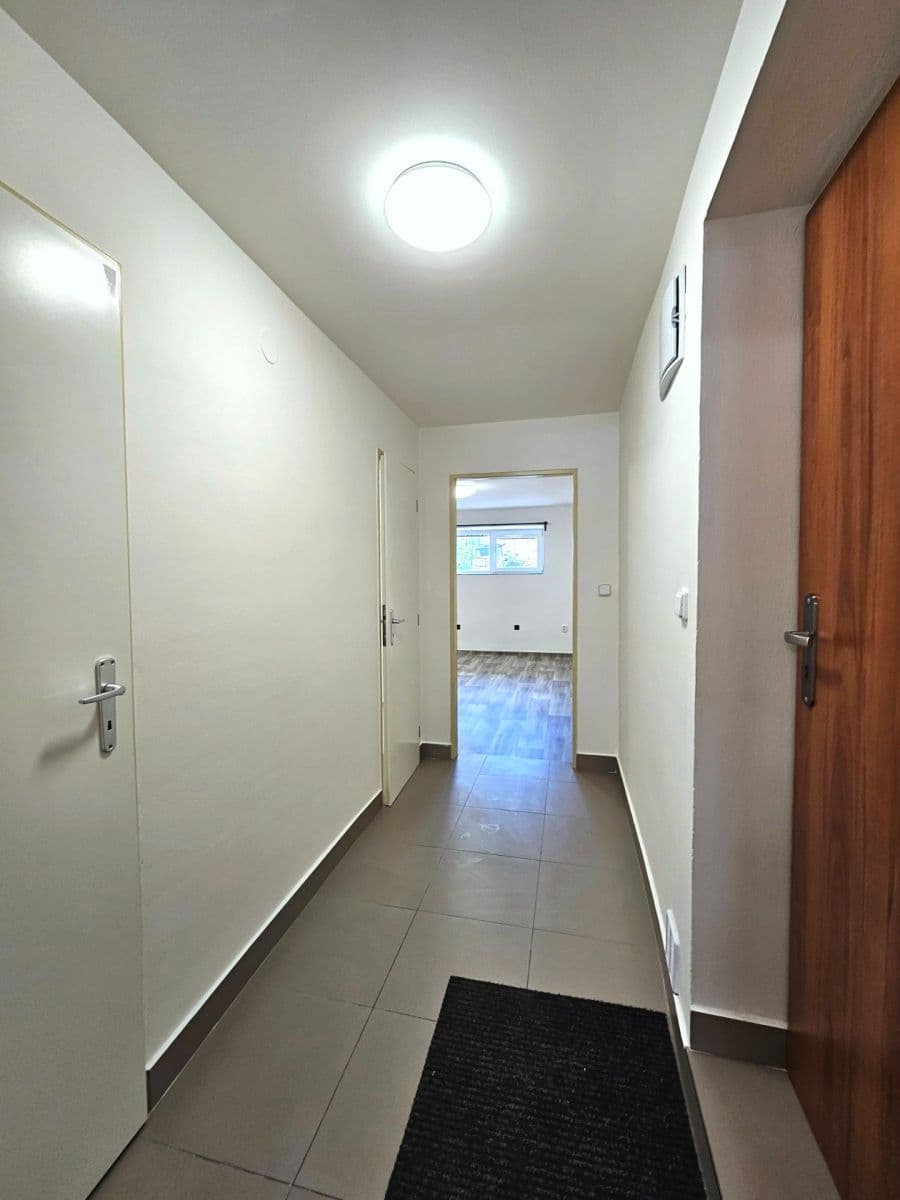 Pronájem bytu 1+1 39 m², Malátova, Brno, Jihomoravský kraj Pronájem bytu 1+1 39 m², Malátova, Brno, Jihomoravský kraj