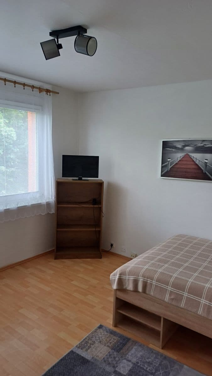 Pronájem bytu 1+1 30 m², Jičínská, Ostrava, Moravskoslezský kraj Pronájem bytu 1+1 30 m², Jičínská, Ostrava, Moravskoslezský kraj