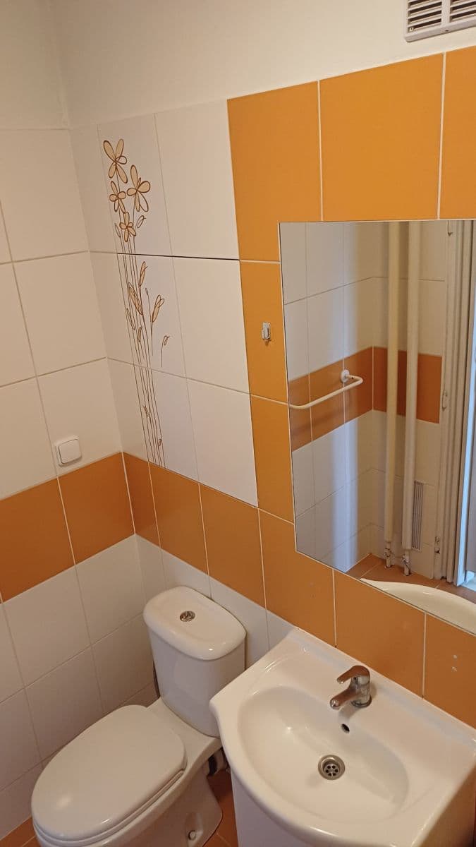 Pronájem bytu 1+1 30 m², Jičínská, Ostrava, Moravskoslezský kraj Pronájem bytu 1+1 30 m², Jičínská, Ostrava, Moravskoslezský kraj