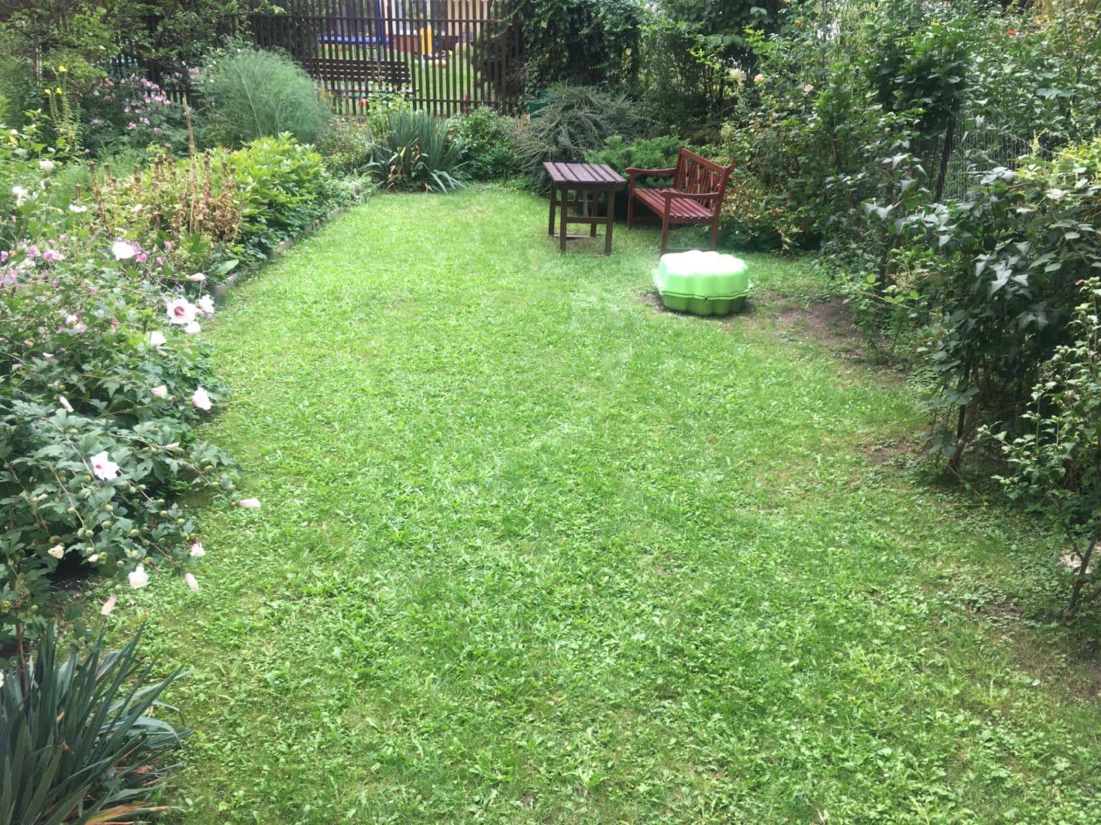 Pronájem bytu 2+1 63 m², Merhautova, Brno, Jihomoravský kraj Pronájem bytu 2+1 63 m², Merhautova, Brno, Jihomoravský kraj