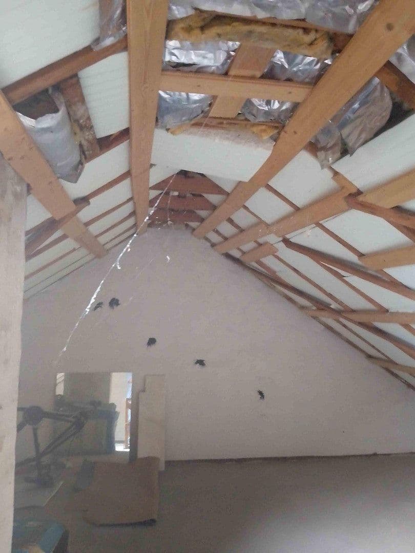 Prodej domu 84 m², pozemek 214 m², Albert-Schweizer-Straße 25, Gifhorn, Dolní Sasko Prodej domu 84 m², pozemek 214 m², Albert-Schweizer-Straße 25, Gifhorn, Dolní Sasko