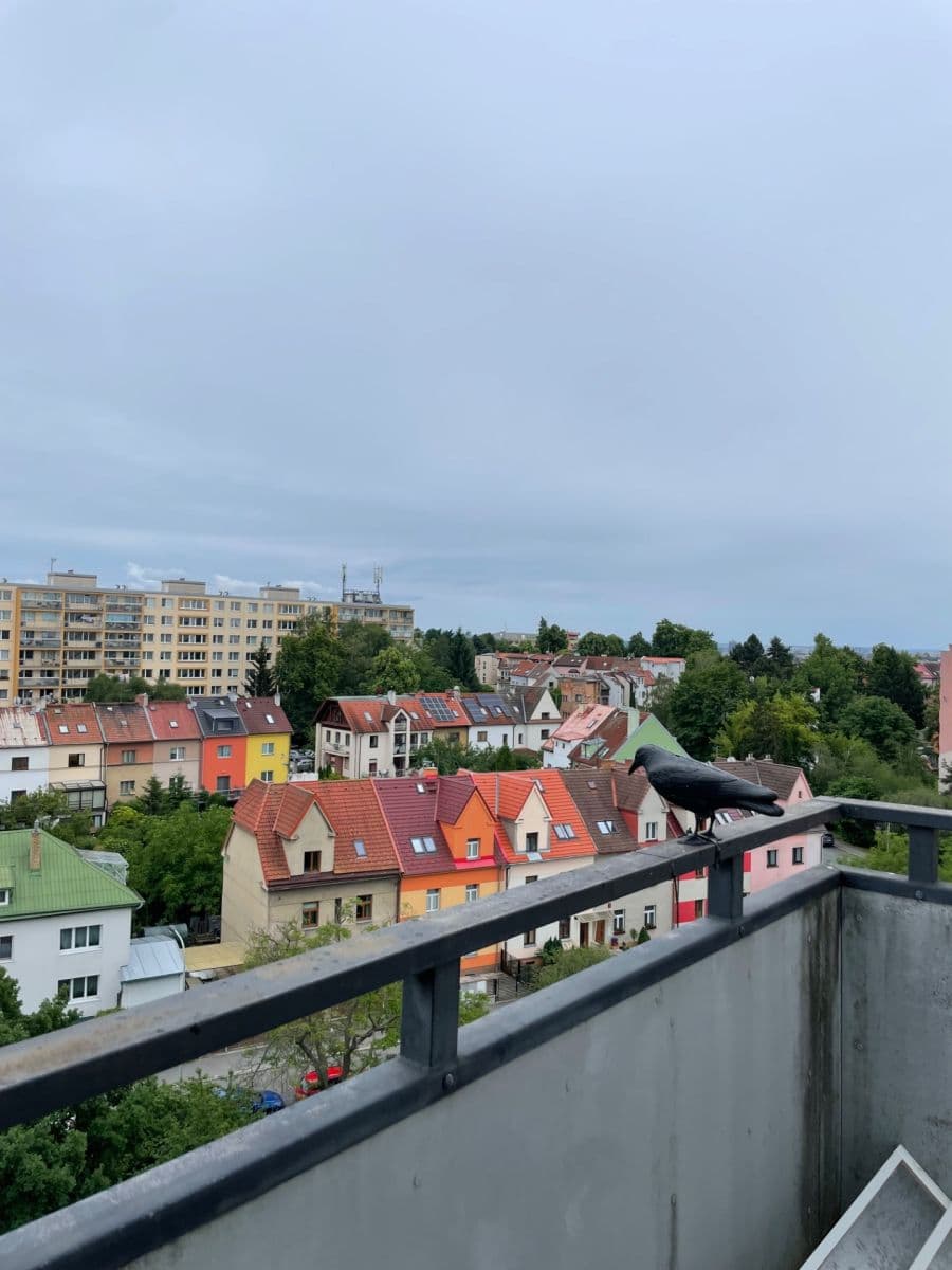 Pronájem bytu 2+kk 64 m², Teplická, Praha, Praha Pronájem bytu 2+kk 64 m², Teplická, Praha, Praha