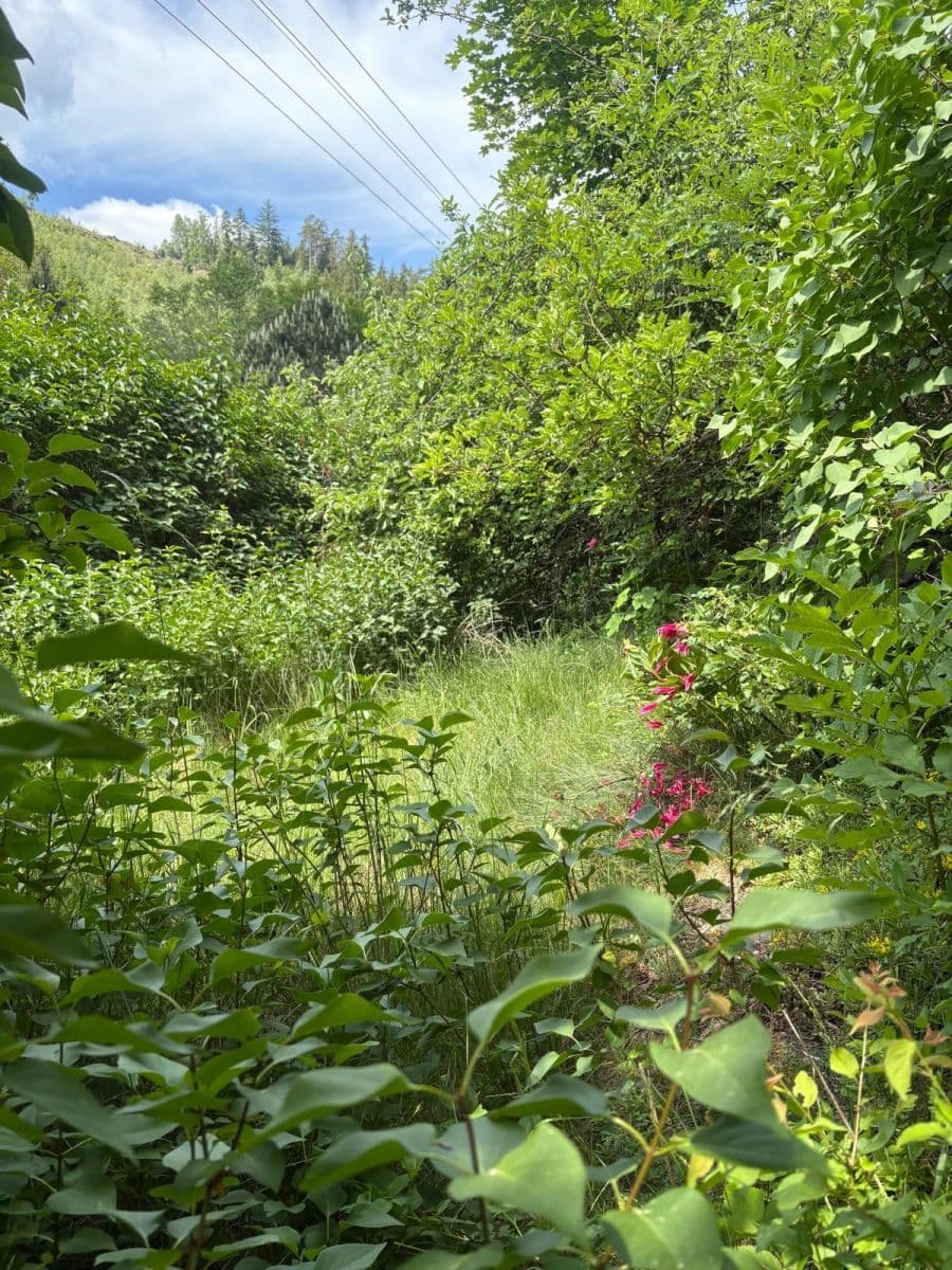 Prodej domu 100 m², pozemek 1.466 m², Svojanov, Pardubický kraj Prodej domu 100 m², pozemek 1.466 m², Svojanov, Pardubický kraj