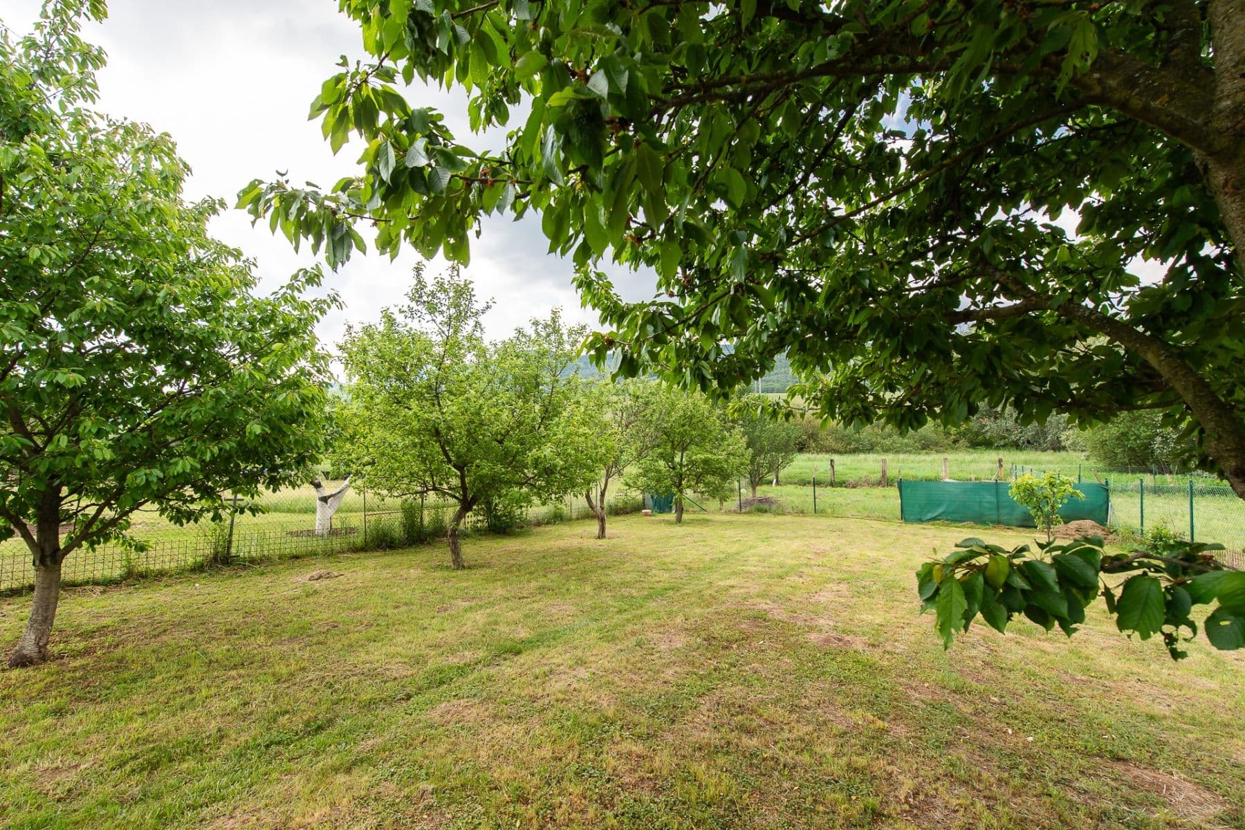 Prodej domu 1.500 m², pozemek 1.598 m², Ovčie, Prešovský kraj Prodej domu 1.500 m², pozemek 1.598 m², Ovčie, Prešovský kraj