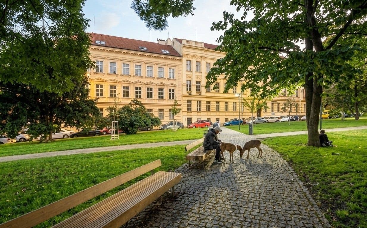 Pronájem bytu 2+kk 55 m², Žitomírská, Praha, Praha Pronájem bytu 2+kk 55 m², Žitomírská, Praha, Praha