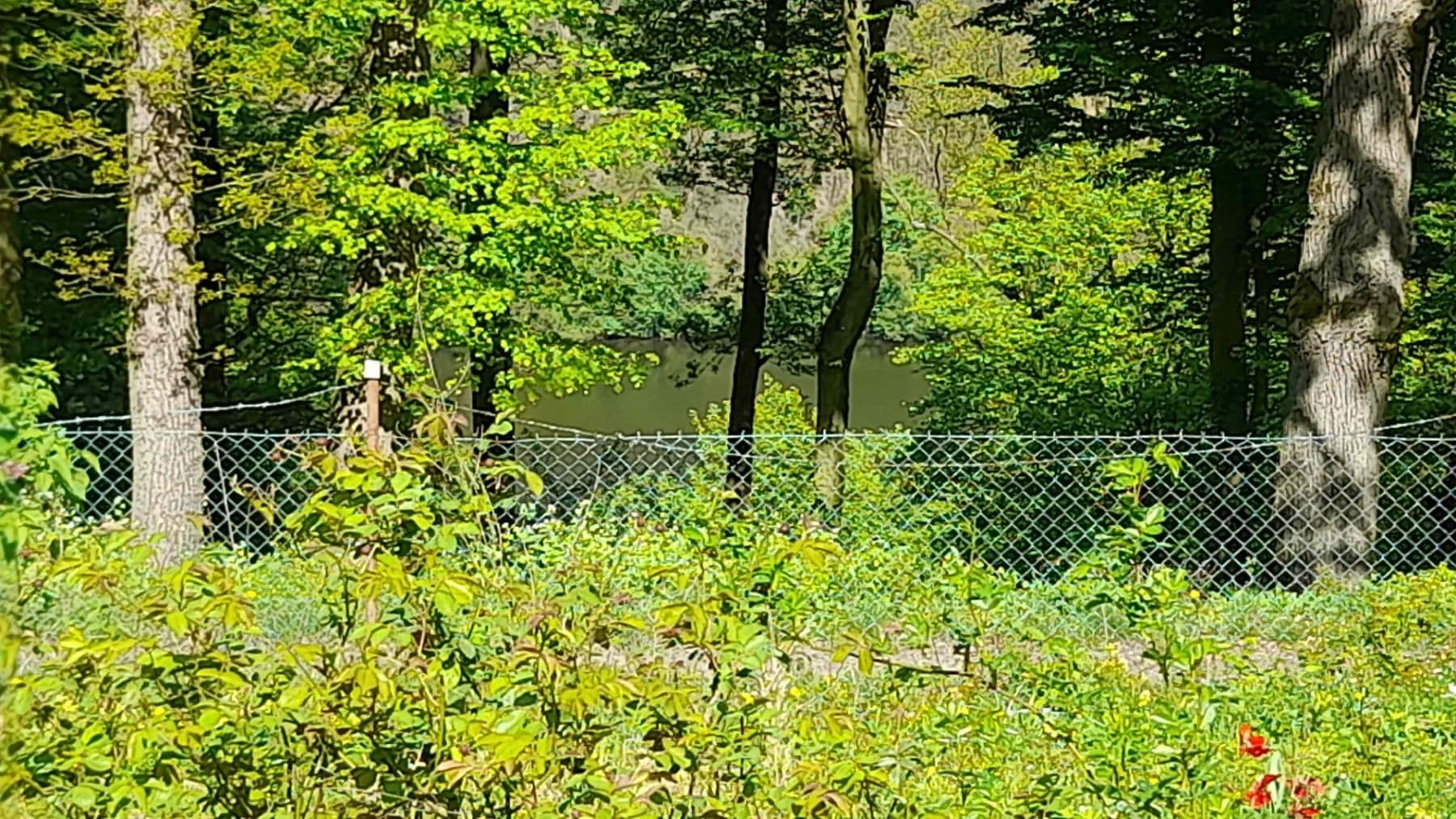 Prodej pozemku 570 m², Trnová, Středočeský kraj Prodej pozemku 570 m², Trnová, Středočeský kraj