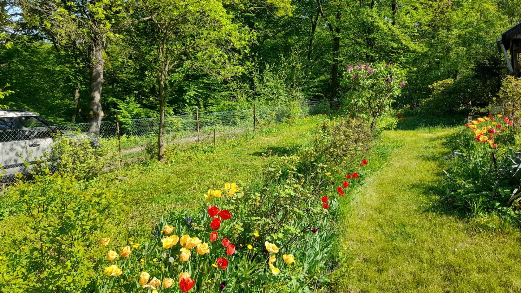 Prodej pozemku 570 m², Trnová, Středočeský kraj Prodej pozemku 570 m², Trnová, Středočeský kraj