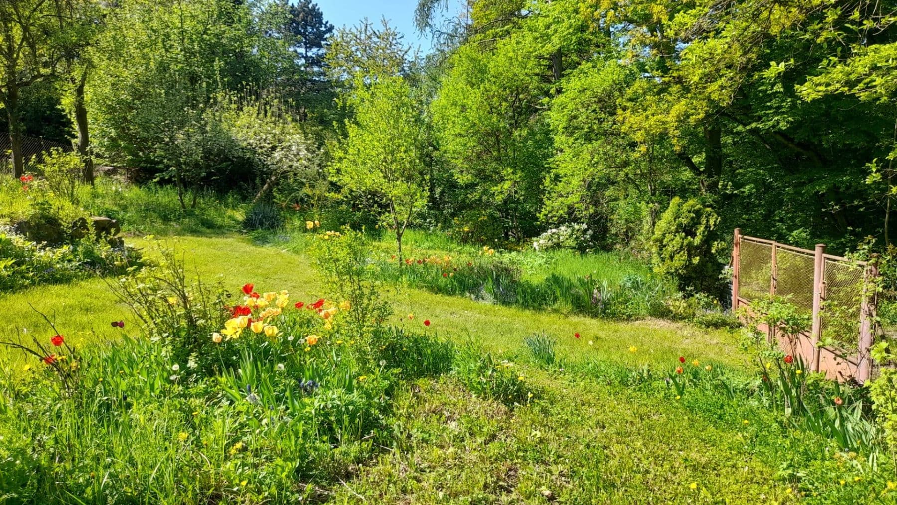 Prodej pozemku 570 m², Trnová, Středočeský kraj Prodej pozemku 570 m², Trnová, Středočeský kraj