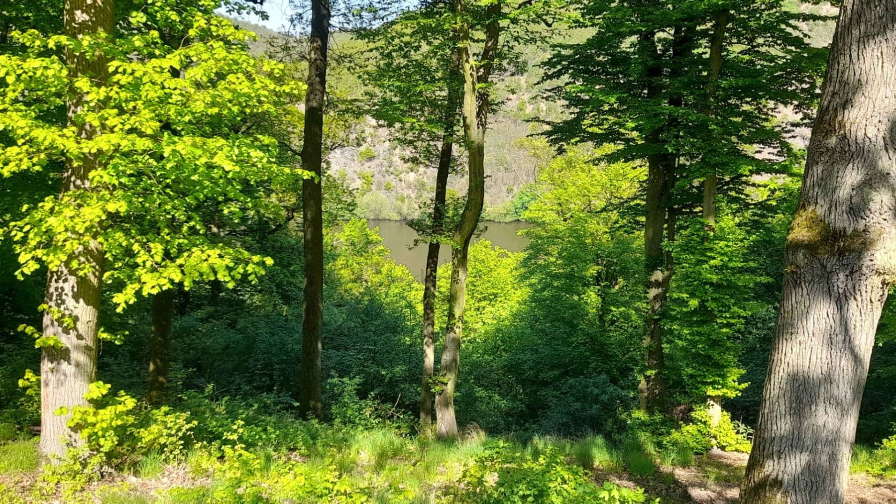Prodej pozemku 570 m², Trnová, Středočeský kraj Prodej pozemku 570 m², Trnová, Středočeský kraj